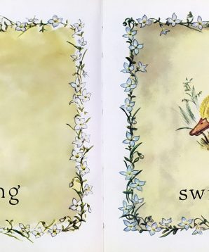 Alternative view of 1 is one