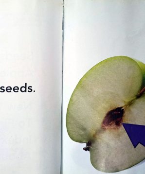 Alternative view of Apples