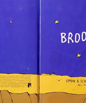 Alternative view of Broom, zoom