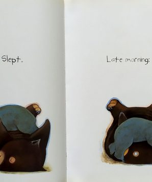 Alternative view of Diary of a baby wombat
