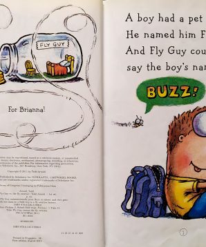 Alternative view of Fly guy vs. the flyswatter