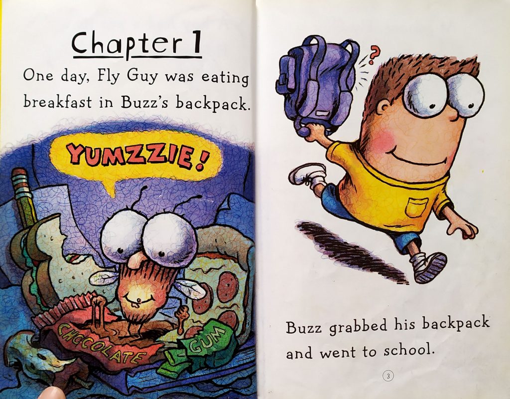 Fly guy vs. the flyswatter Lotus Community Library Library For Families