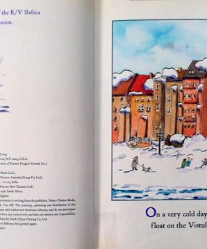 Alternative view of Little dog lost