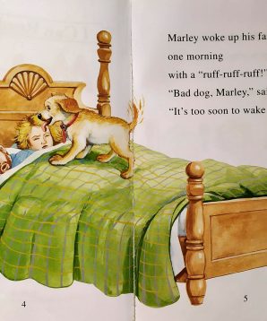 Alternative view of Marley's big adventure