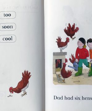 Alternative view of Such a fuss