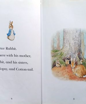 Alternative view of The tale of Peter Rabbit