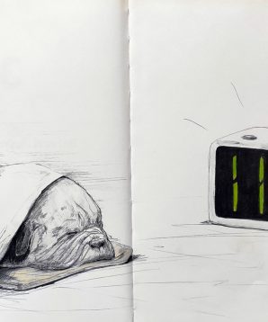 Alternative view of 3 wishes for Pugman