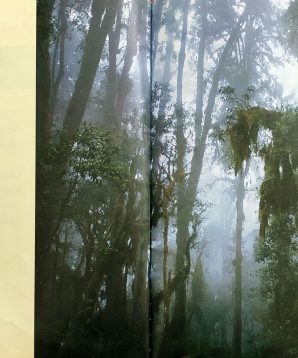 Alternative view of A cheeky chiller