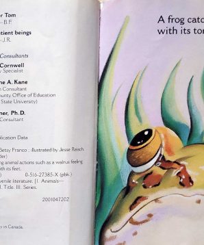 Alternative view of Amazing animals