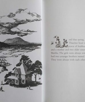 Alternative view of Andrew Henry's meadow