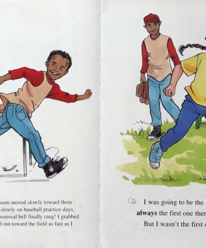 Alternative view of Baseball fever