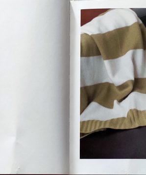 Alternative view of Boo: little dog in the big city