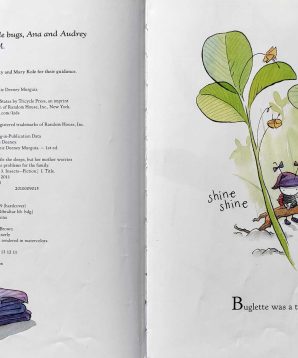 Alternative view of Buglette: the messy sleeper