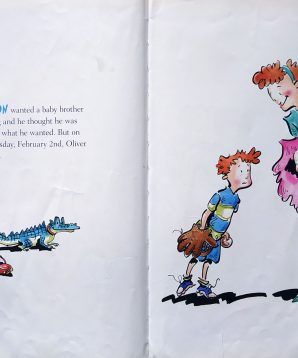 Alternative view of But I wanted a baby brother