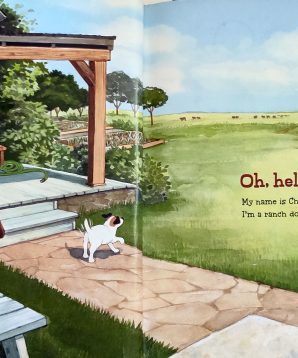 Alternative view of Charlie the ranch dog