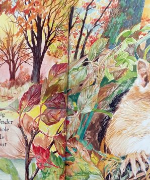 Alternative view of Chipmunk at Hollow Tree Lane