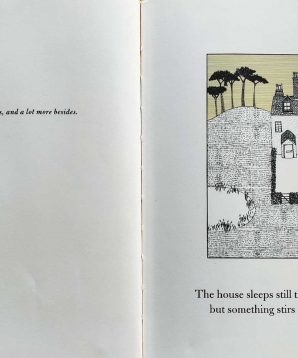 Alternative view of Counting birds