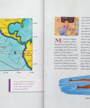 Alternative view of Far from shore