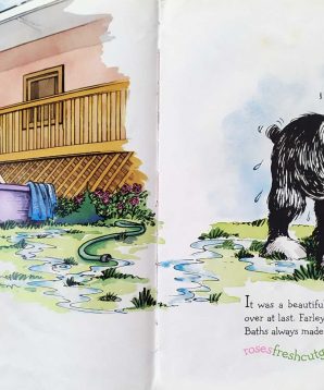 Alternative view of Farley follows his nose