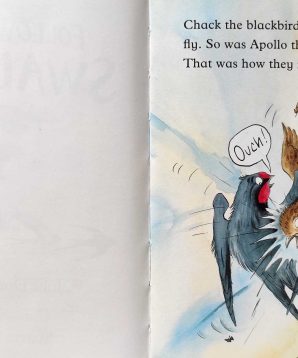 Alternative view of Follow the swallow