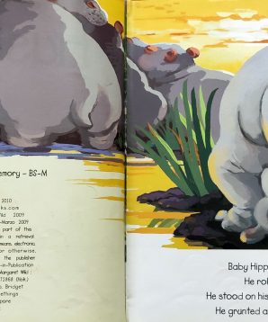 Alternative view of Hush, hush