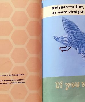 Alternative view of If you were a polygon