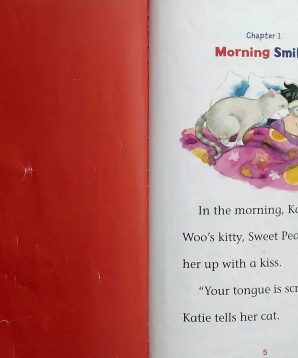 Alternative view of Katie Woo: a happy day