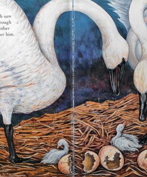 Alternative view of Little swan