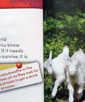 Alternative view of Living or non-living