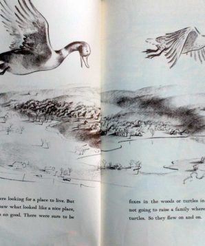 Alternative view of Make way for ducklings