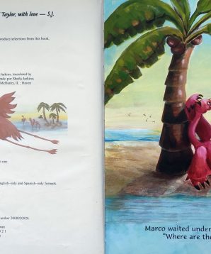 Alternative view of Marco Flamingo