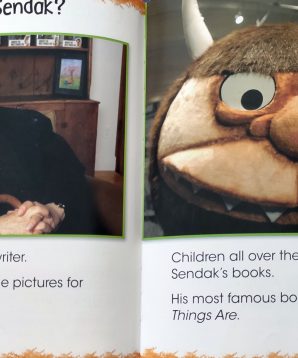 Alternative view of Maurice Sendak