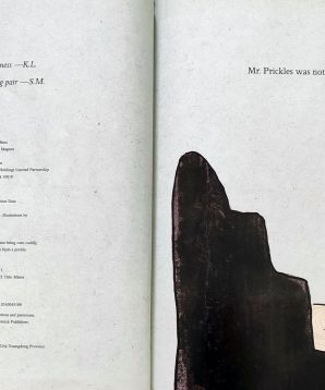 Alternative view of Mr Prickles