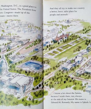 Alternative view of My senator and me