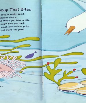 Alternative view of Ocean soup: tide-pool poems