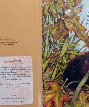 Alternative view of Oh no, woolly bear