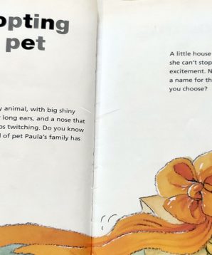 Alternative view of Let's take care of our new rabbit