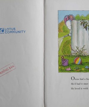 Alternative view of Owen