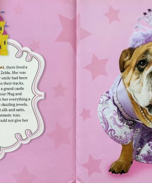 Alternative view of Princess Zelda and the frog