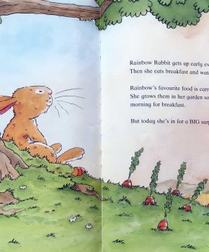 Alternative view of Rainbow