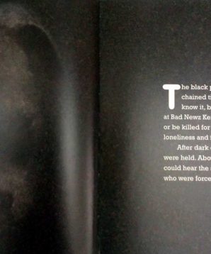 Alternative view of Saving Audie