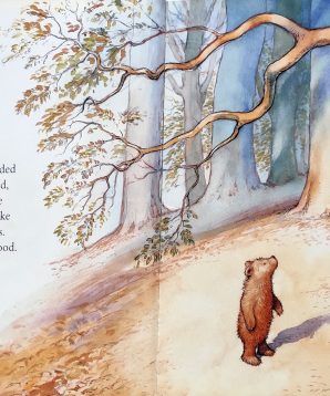 Alternative view of Scruffy Bear and the six white mice