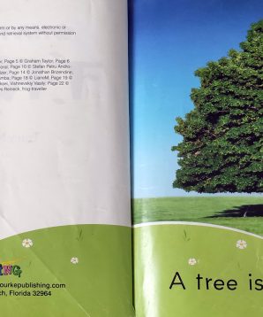 Alternative view of What's in a tree?