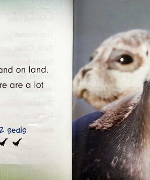 Alternative view of Subtracting with seals