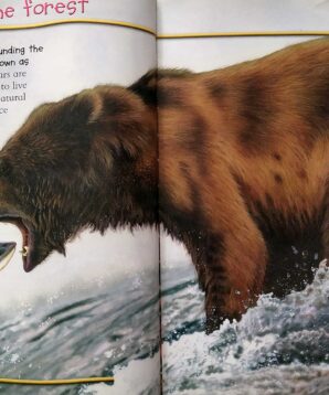 Alternative view of 100 facts: bears