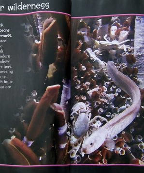 Alternative view of 100 facts: deep ocean