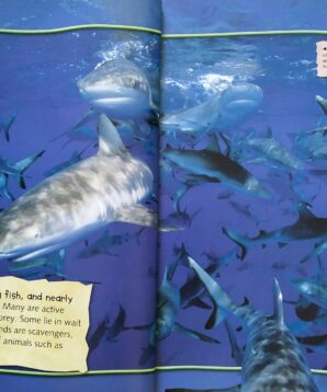 Alternative view of 100 facts: sharks