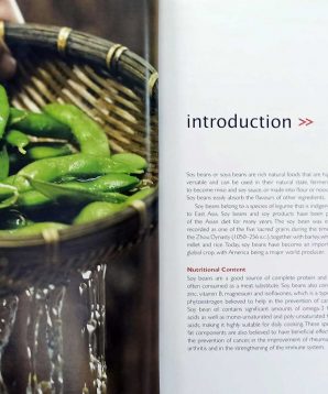 Alternative view of Soy in 60 ways