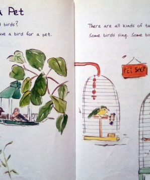 Alternative view of A bird for you: caring for your bird