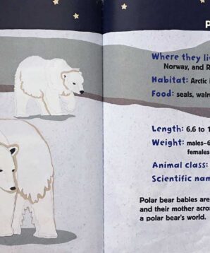 Alternative view of A polar bear's world